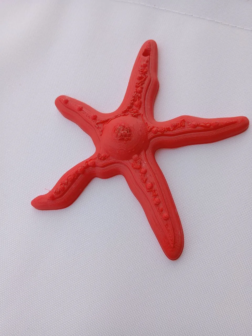 Mô hình trang trí STELLA MARINA cho mùa hè