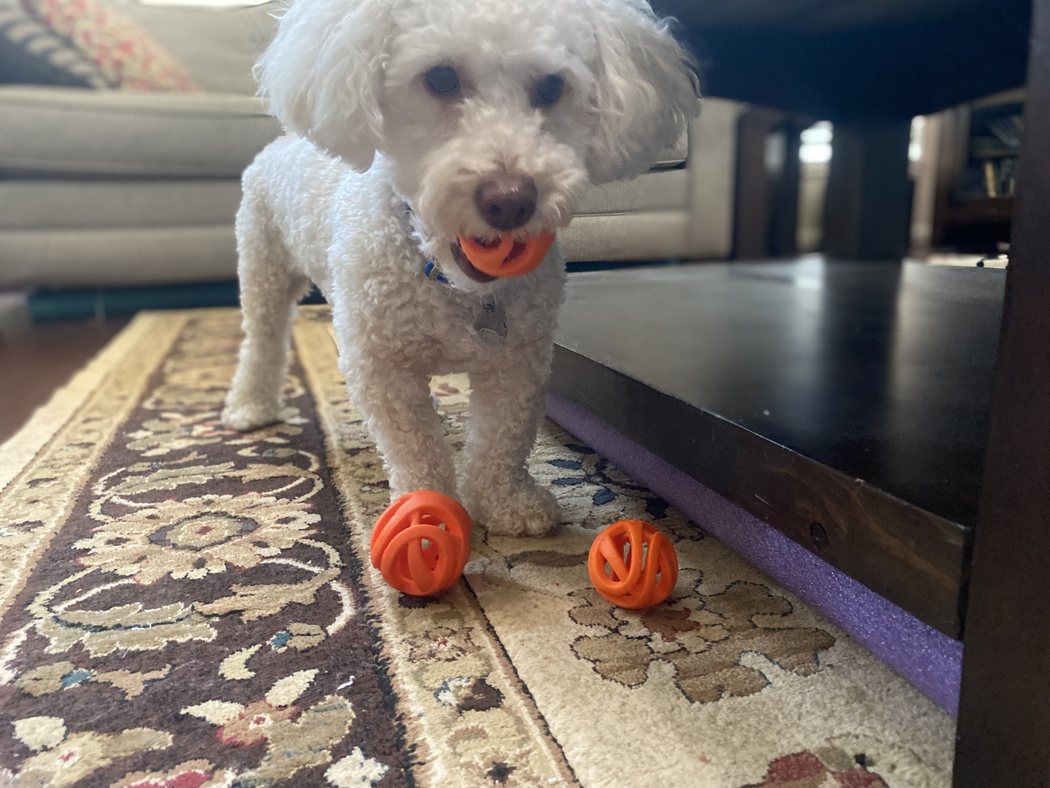 Rào chắn bằng bọt hồ bơi cho đồ chơi và bóng