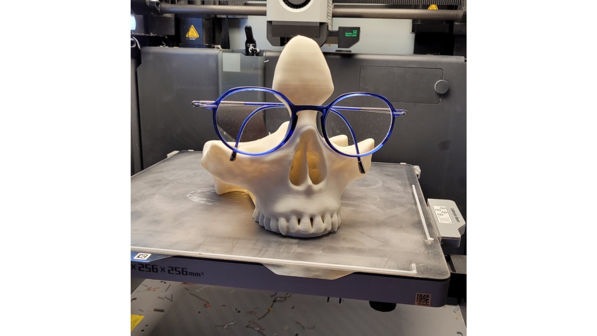 Giá đỡ kính mắt hình sọ cho máy in 3D