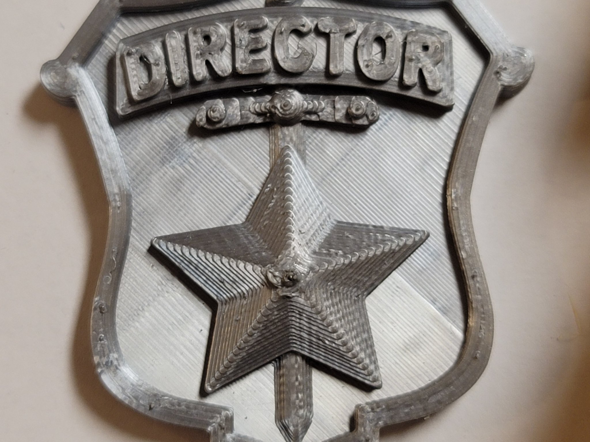 Huy hiệu lãnh đạo cho trại hè địa phương