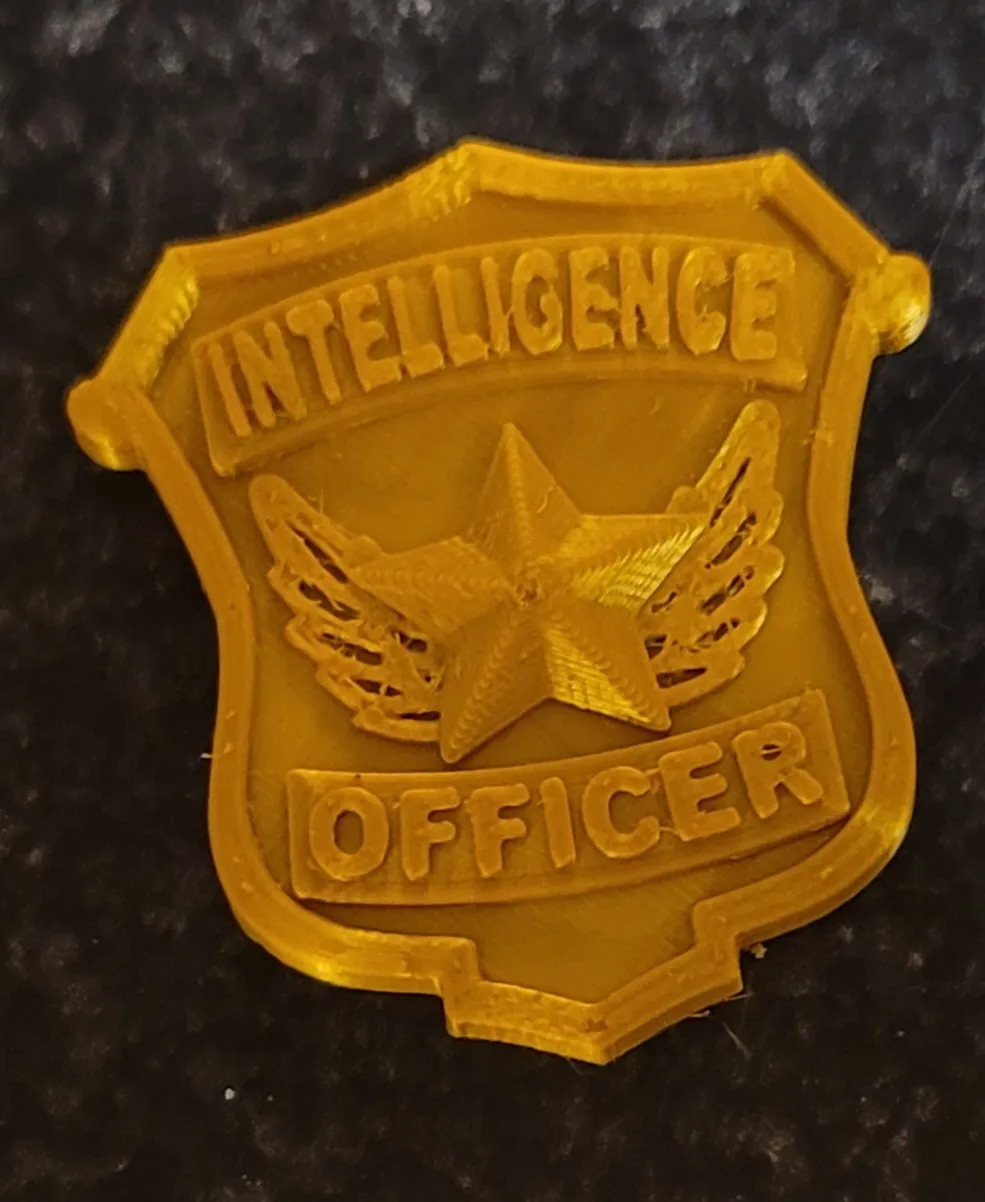 Huy hiệu lãnh đạo cho trại hè địa phương