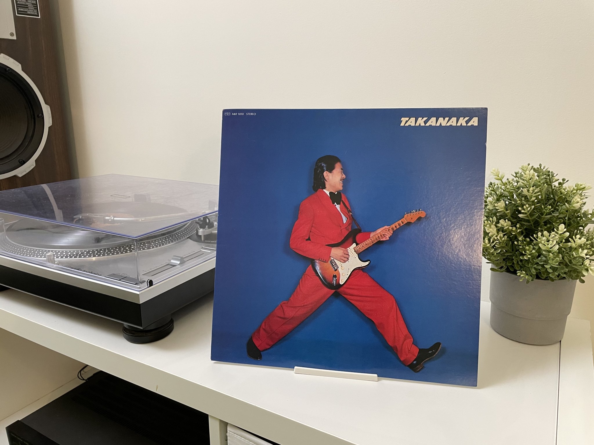 Giá đỡ đĩa vinyl trang trí cho âm nhạc