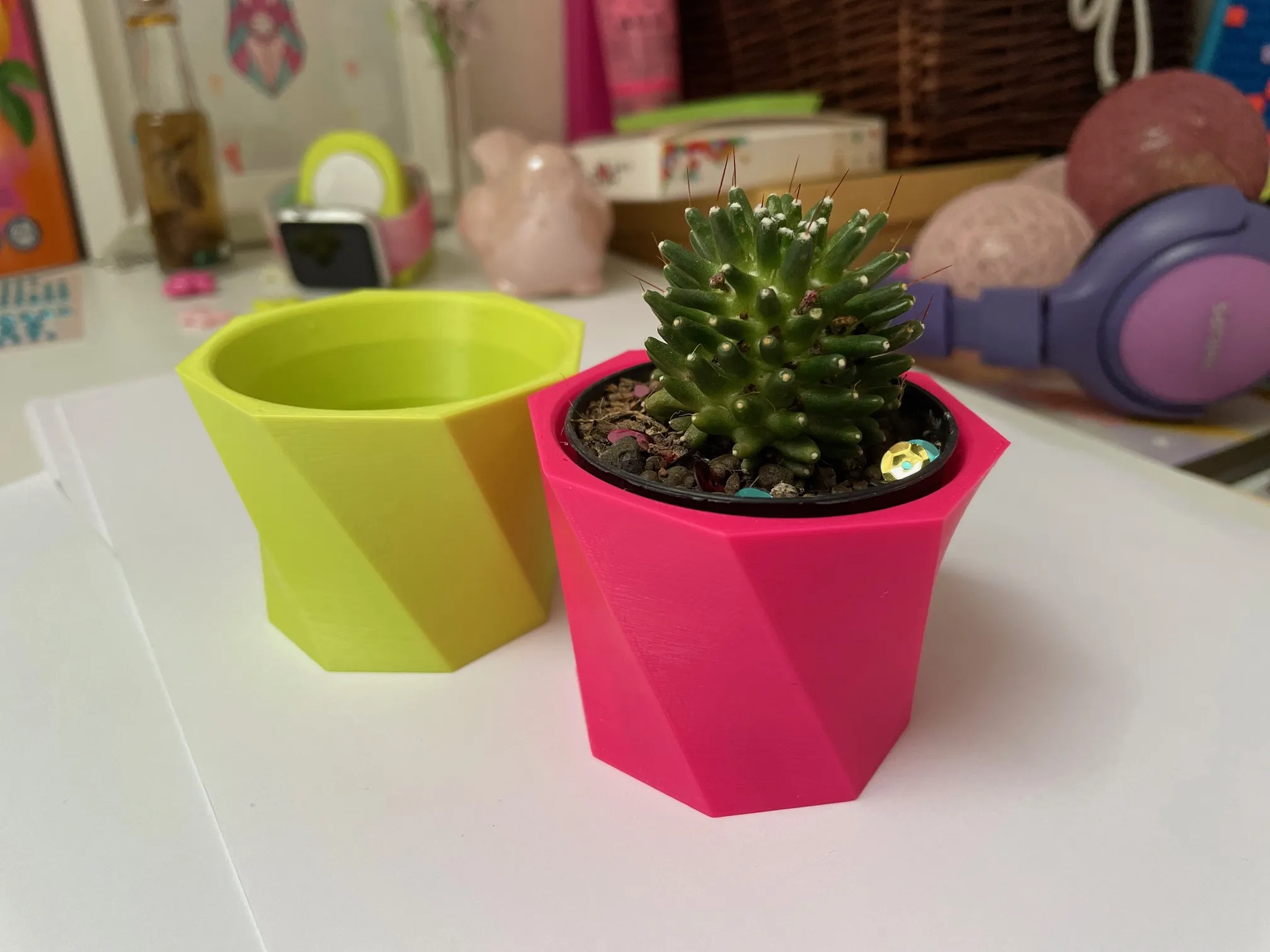 Chậu hoa xương rồng nhỏ xinh cho cây cảnh