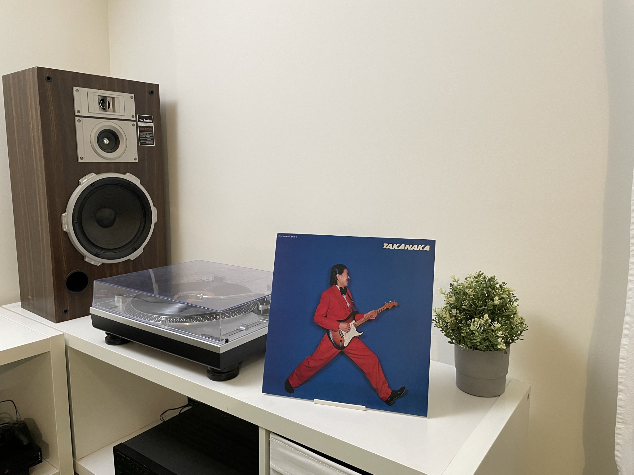 Giá đỡ đĩa vinyl trang trí cho âm nhạc