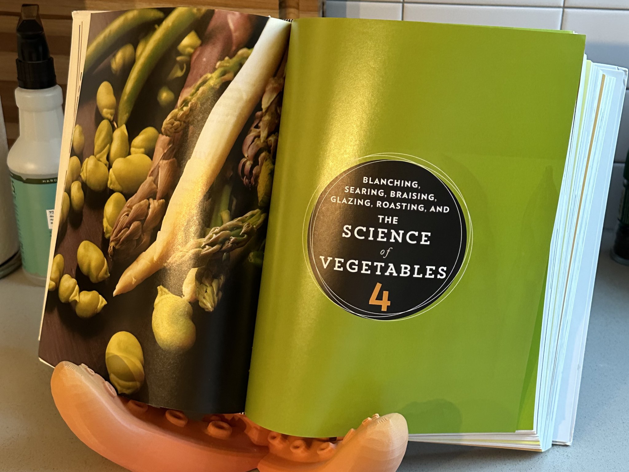 Giá đỡ tentacle cho iPad, sách và hình ảnh