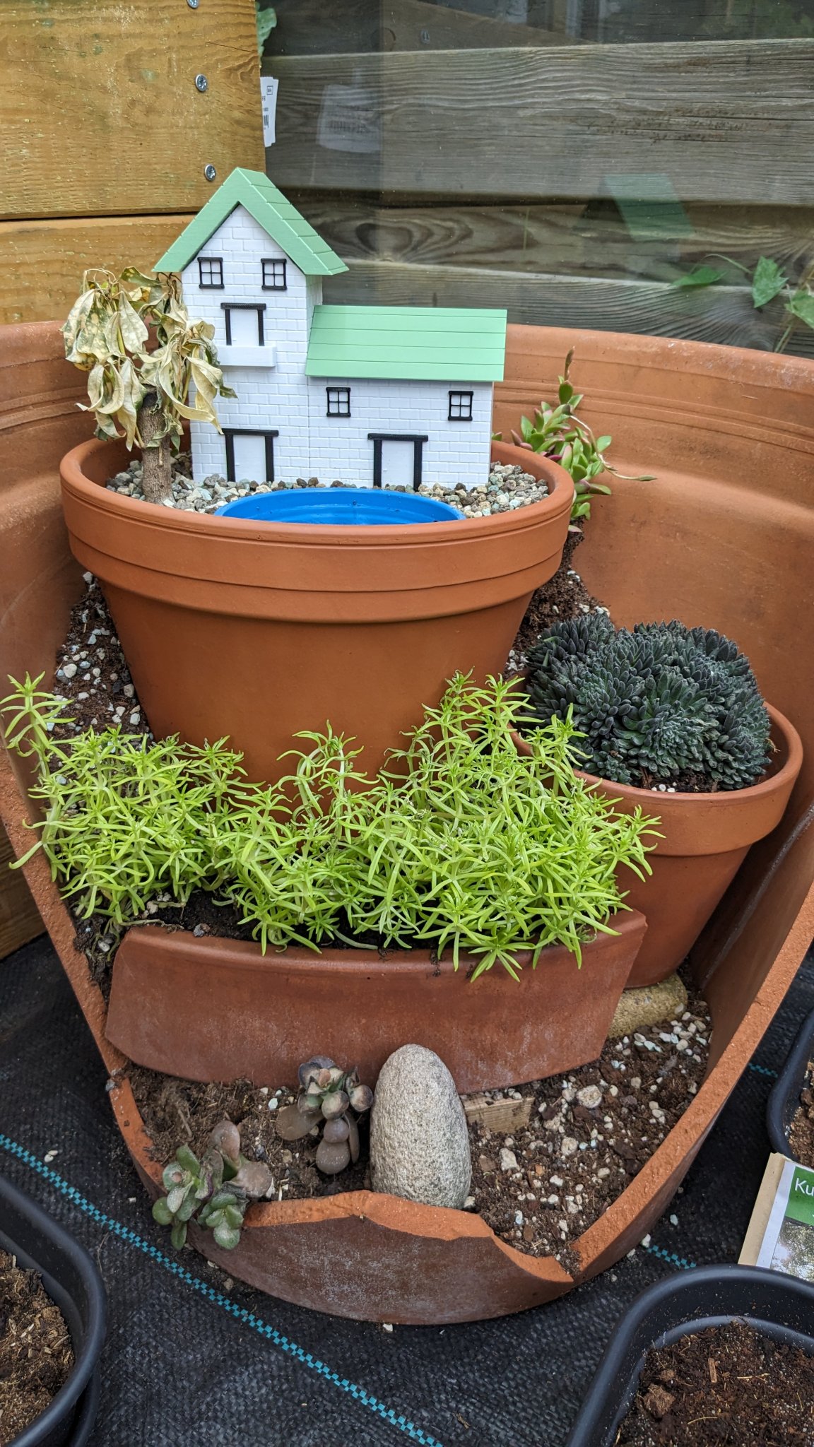 Nhà tranh cho dự án trang trí chậu cây