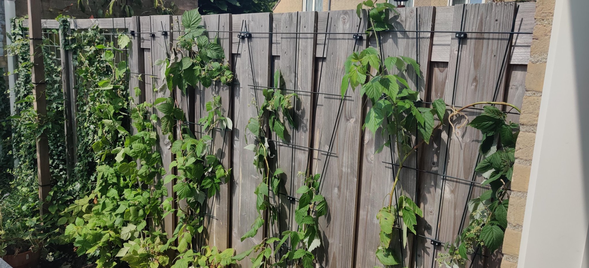 Giá đỡ cho cây hỗ trợ dây 5mm với ốc vít 3,5cm x 3mm