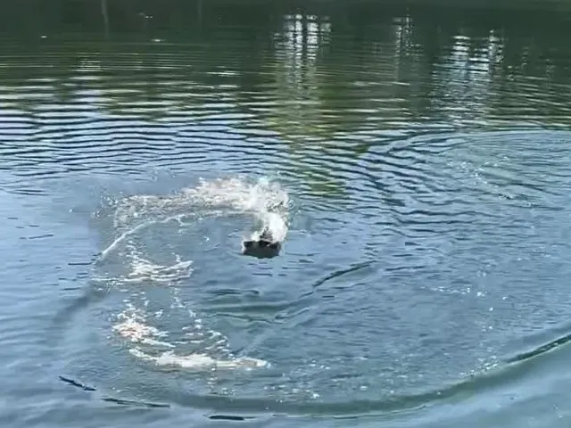 Bơm Jet cho thuyền RC với động cơ 2212/2216/2217/2440