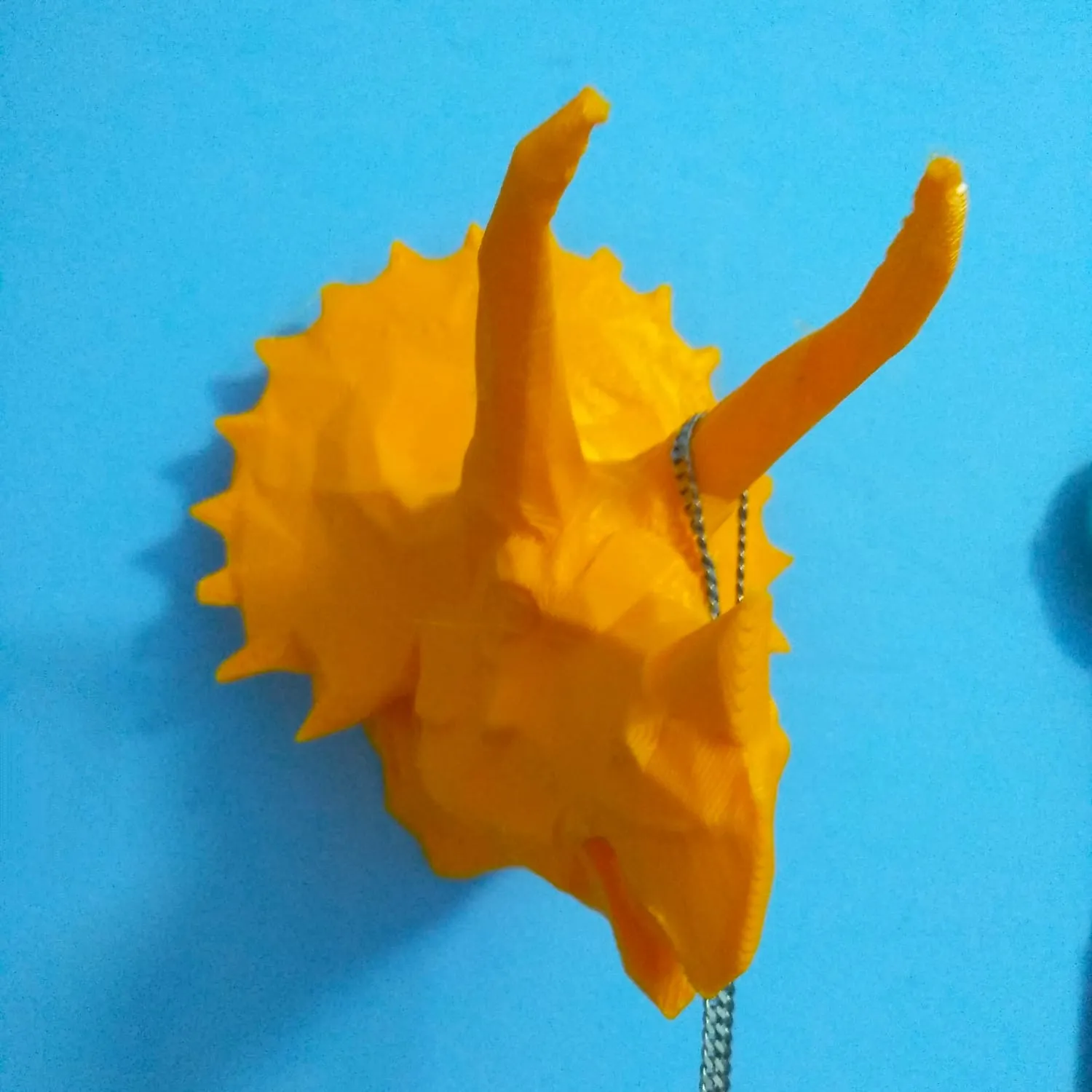 Triceratops tường thấp poly 50% kích thước với lỗ treo