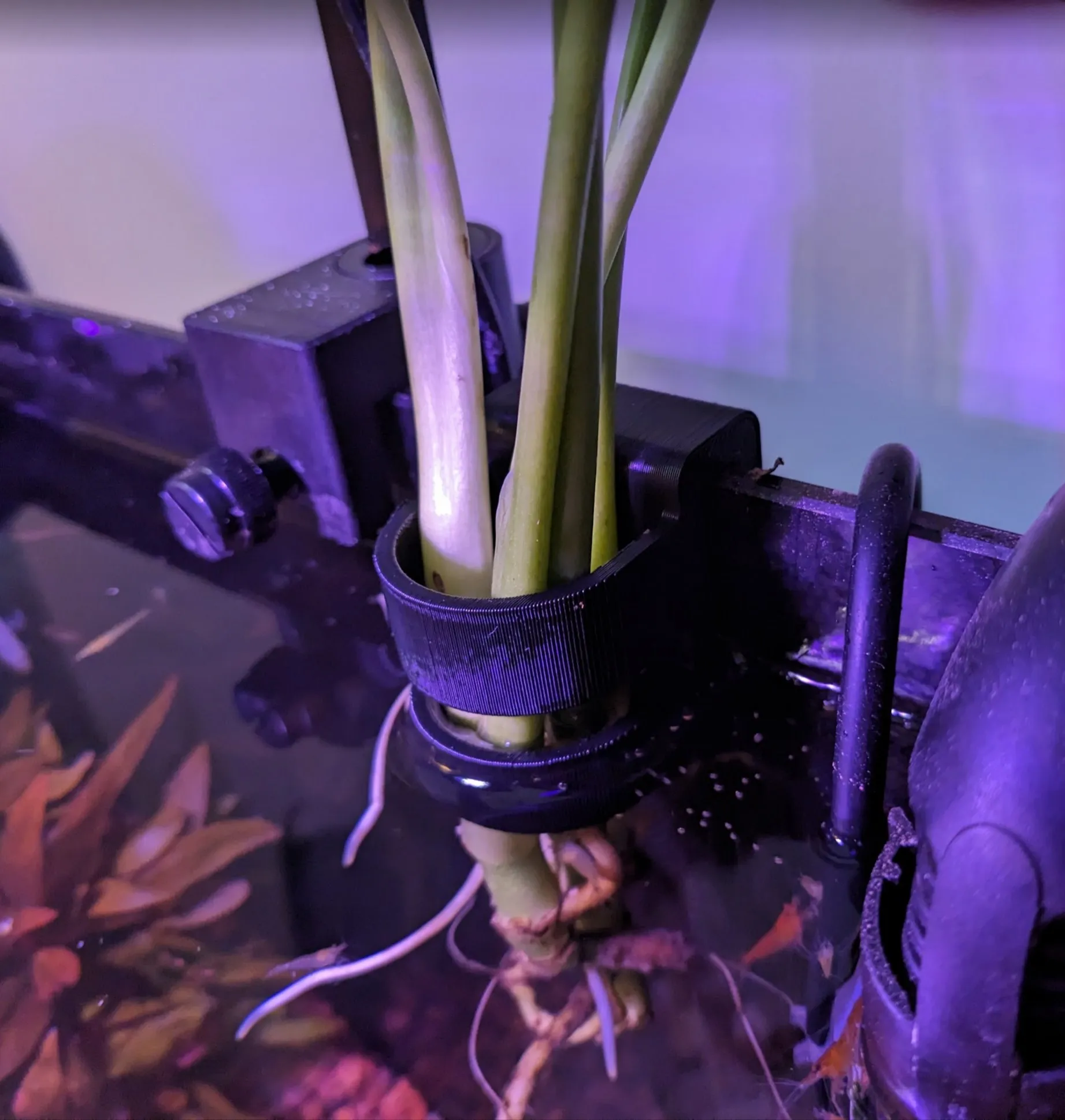 Giá treo cây cho bể cá không viền 4-7mm