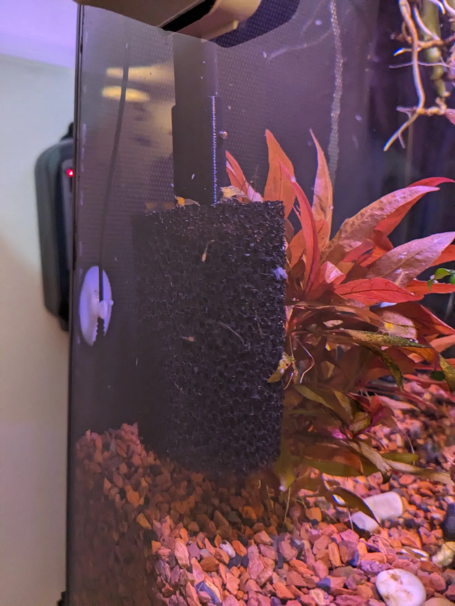 Bộ chuyển đổi hút cho Fluval 107-207 sử dụng bọt lọc Aquarium...