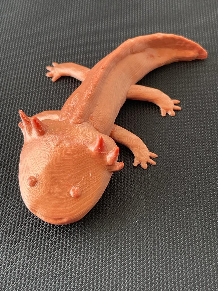 Mô hình Axolotl 3D chi tiết cho in 3D
