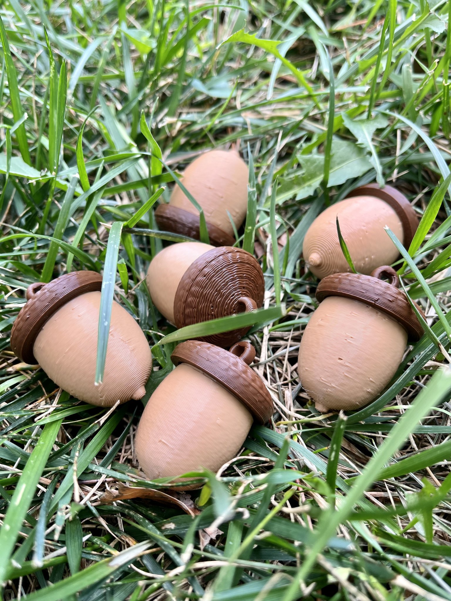 Bình đựng ốc vít hình quả acorn treo tiện lợi