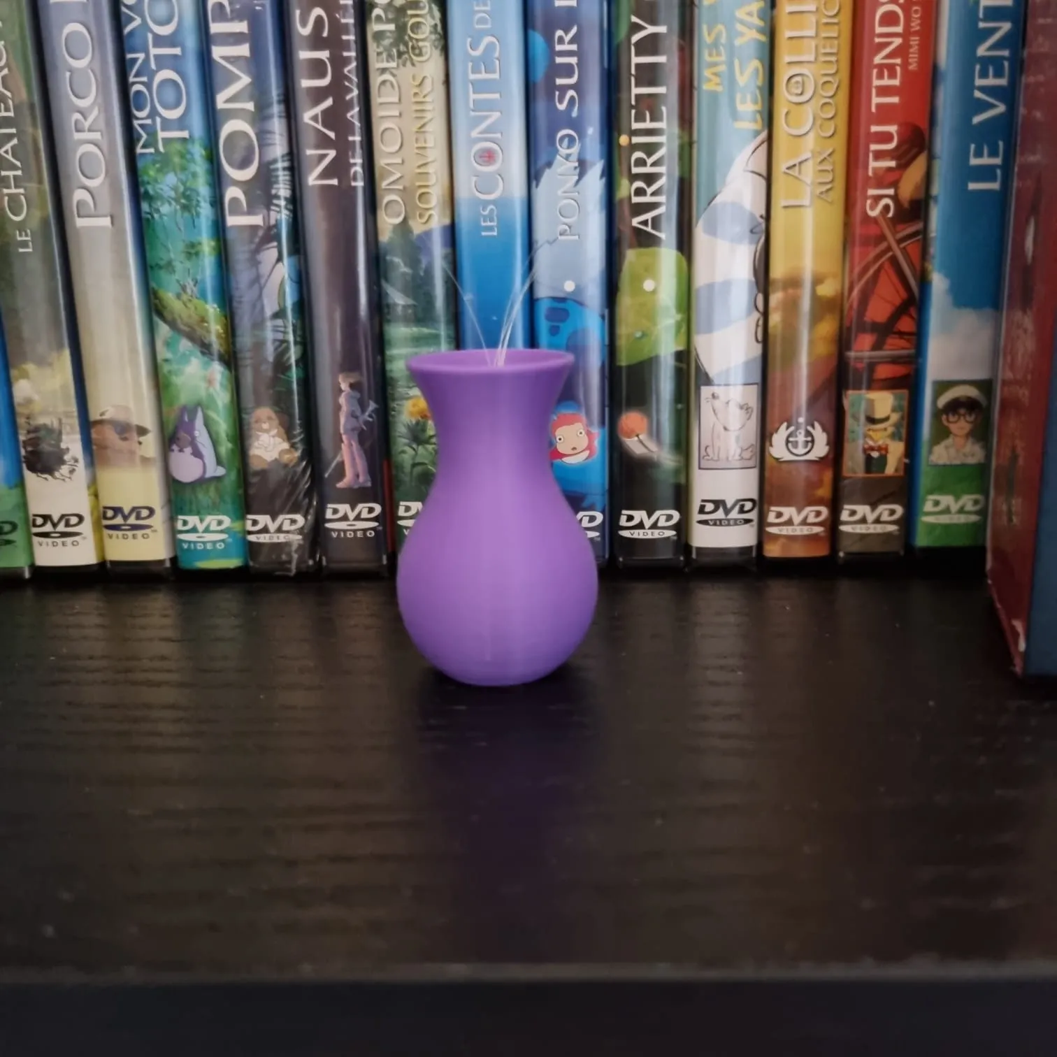 Bình hoa dành cho râu mèo của bạn