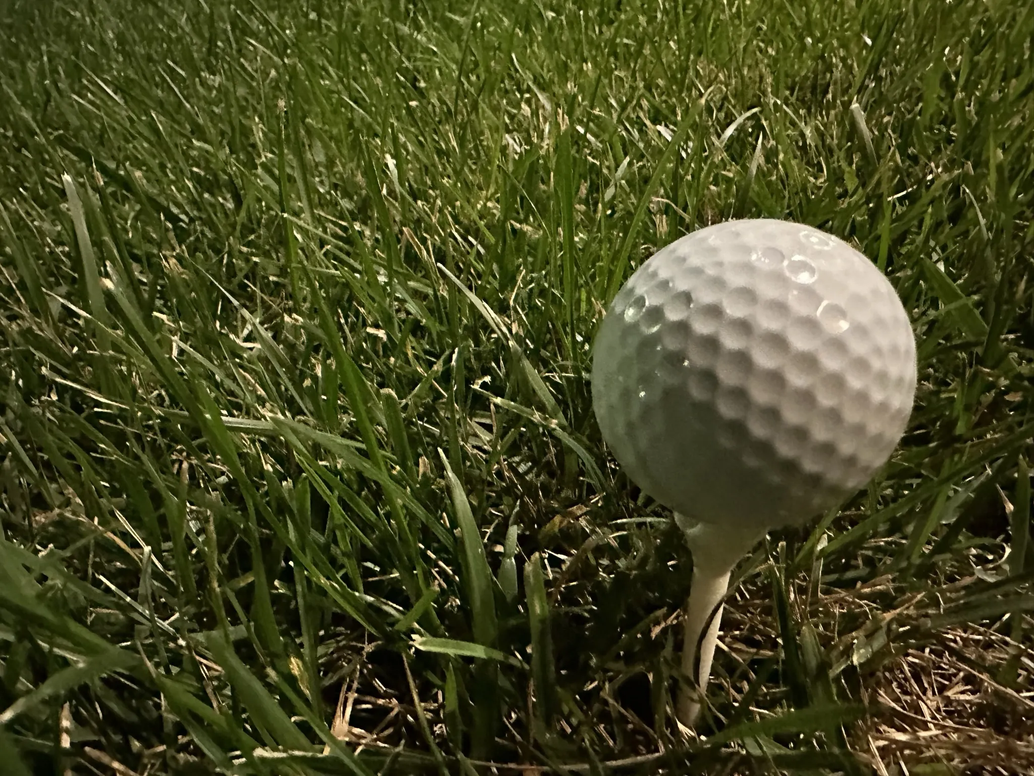 Cọc golf 6 kích thước với màu sắc đơn hoặc đôi