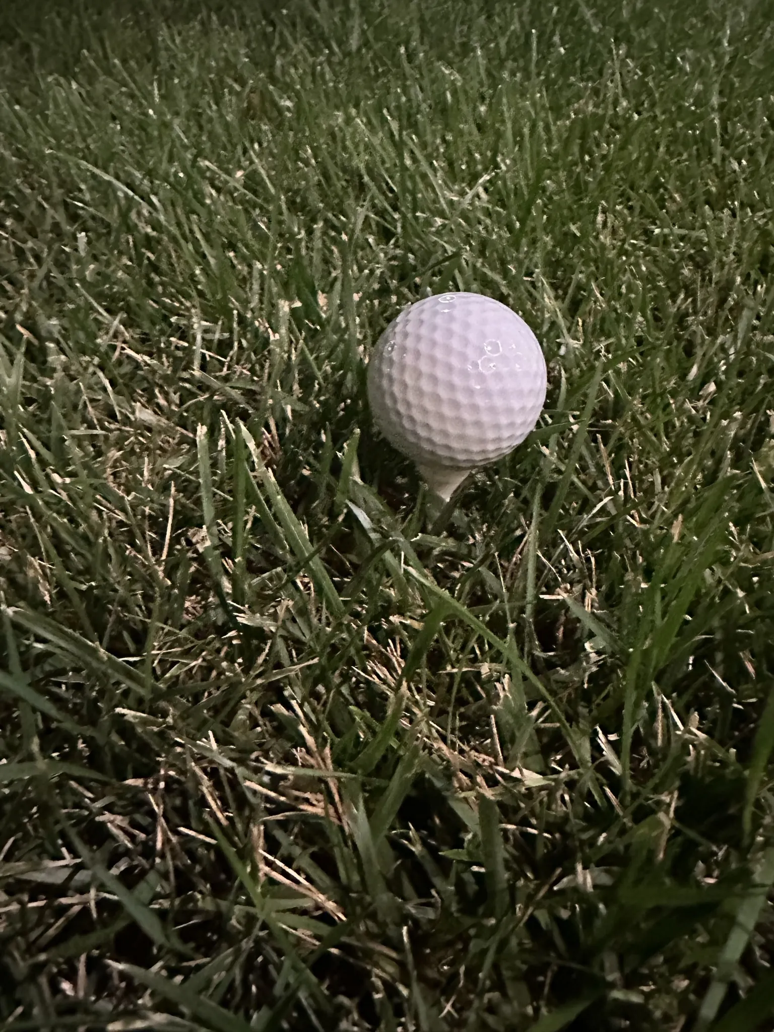 Cọc golf 6 kích thước với màu sắc đơn hoặc đôi