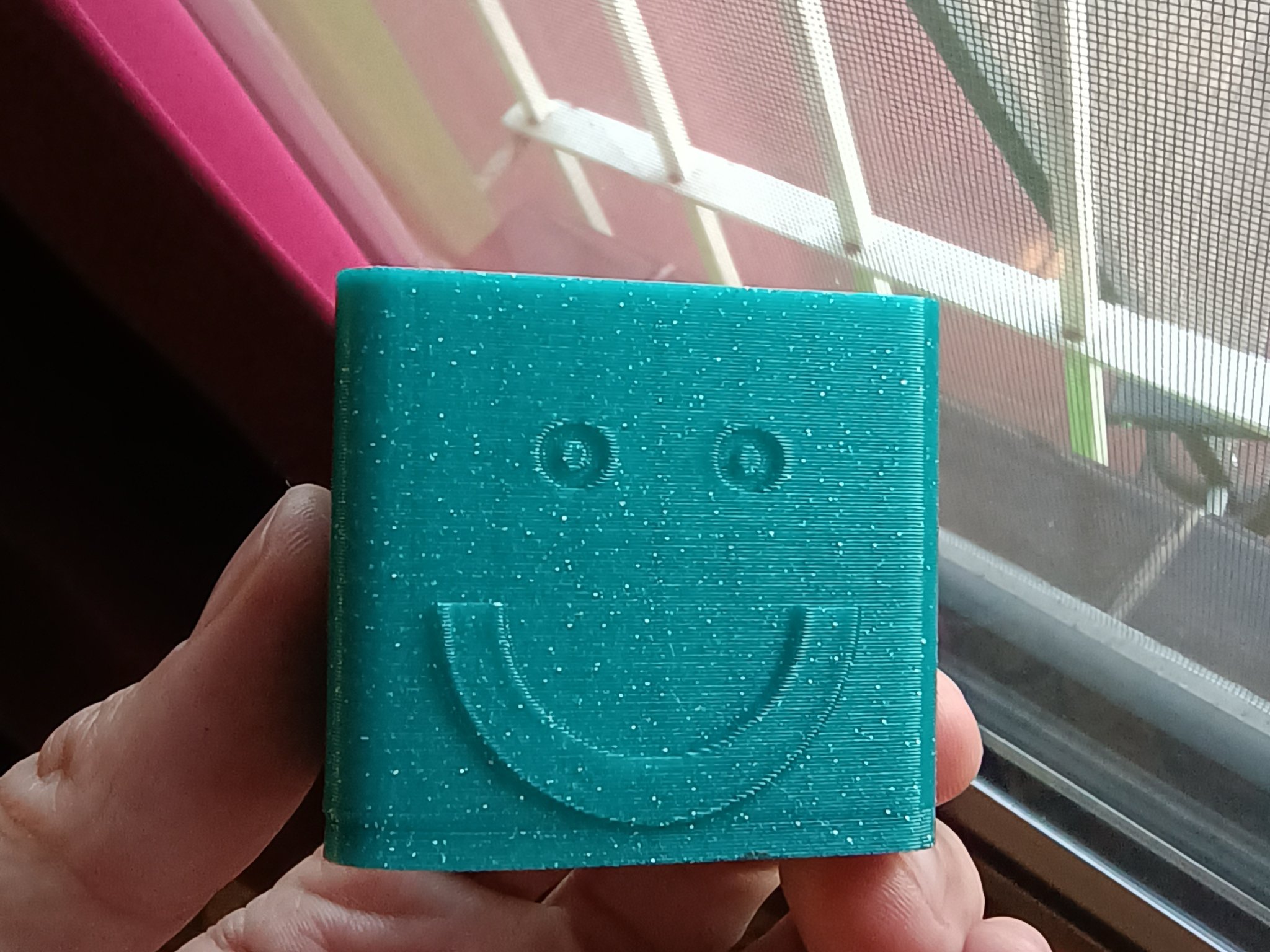 Chậu cây xương rồng mặt cười