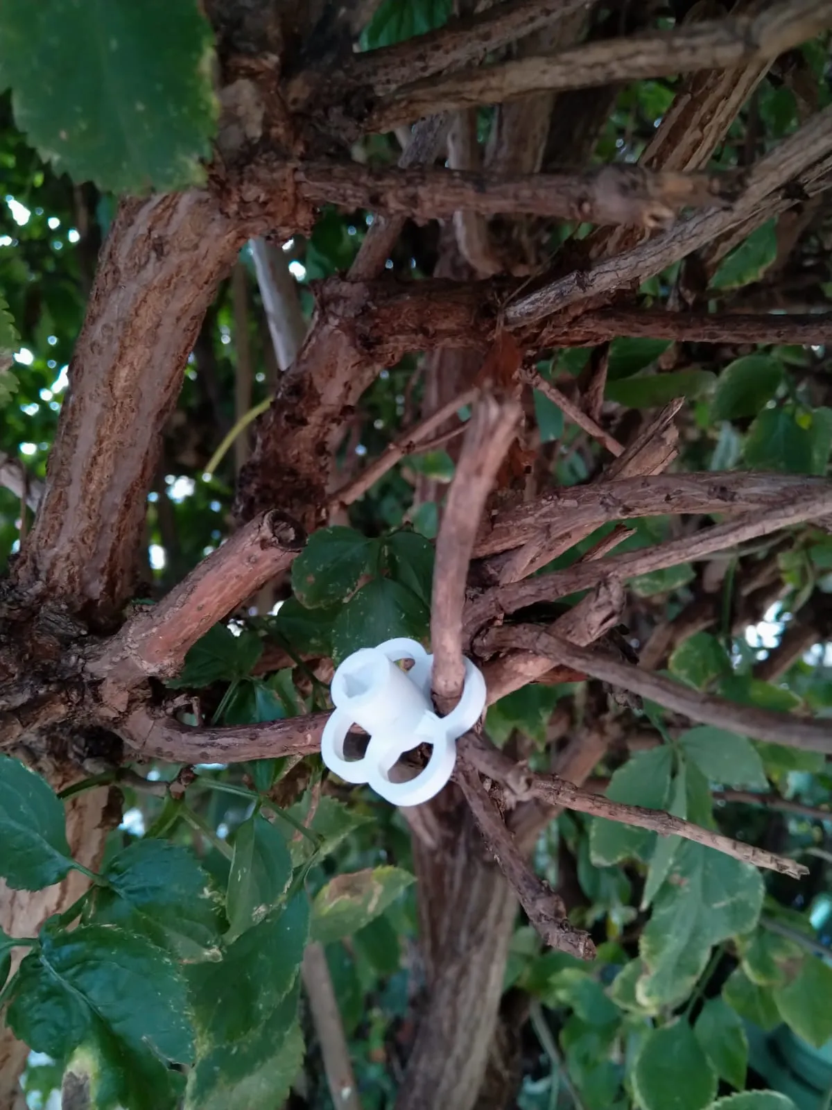 Núm vòi nước vườn nhỏ có thể tháo rời cho chốt vuông 6mm