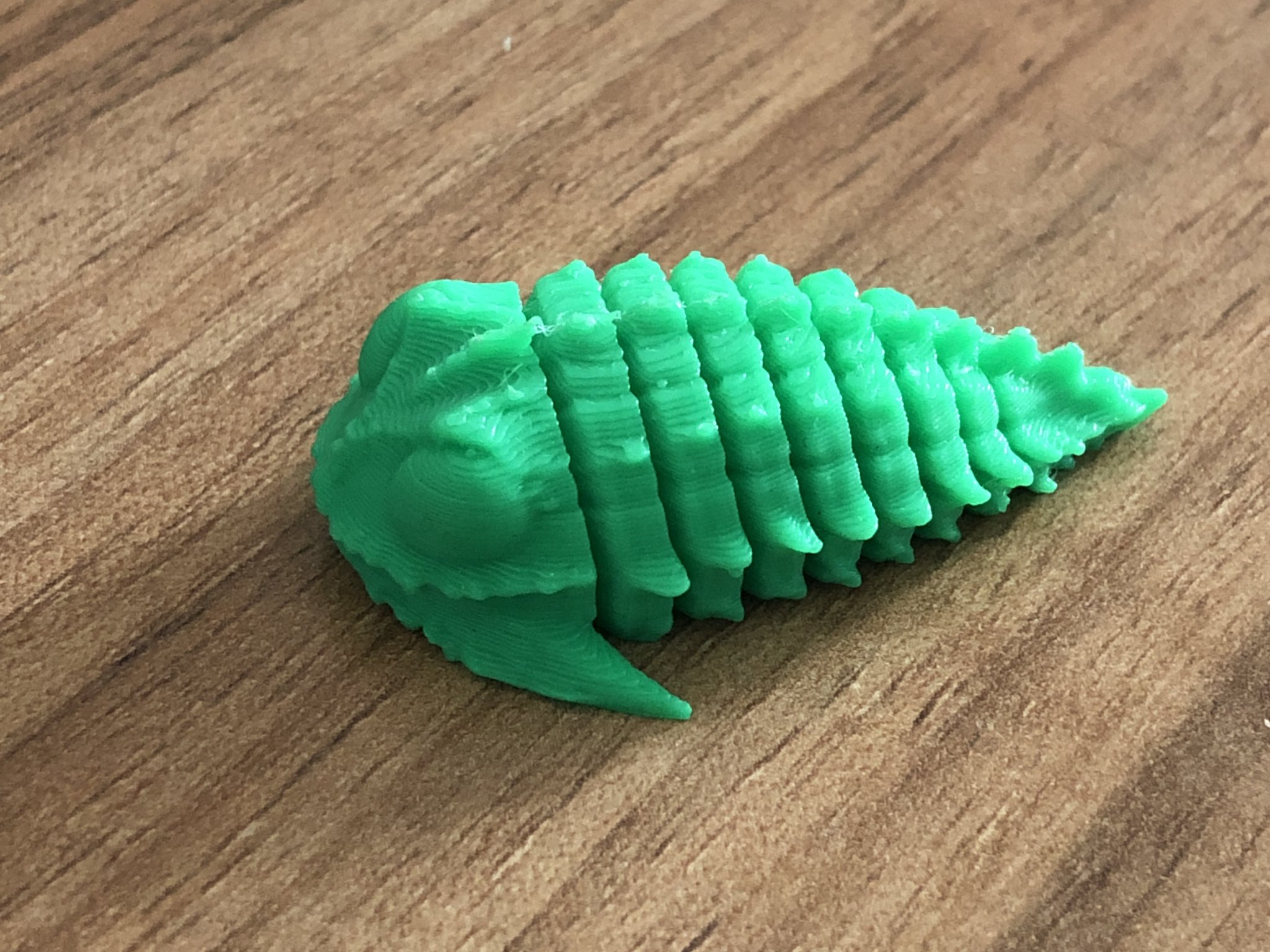 Mô hình hóa học về động vật hóa thạch Trilobite