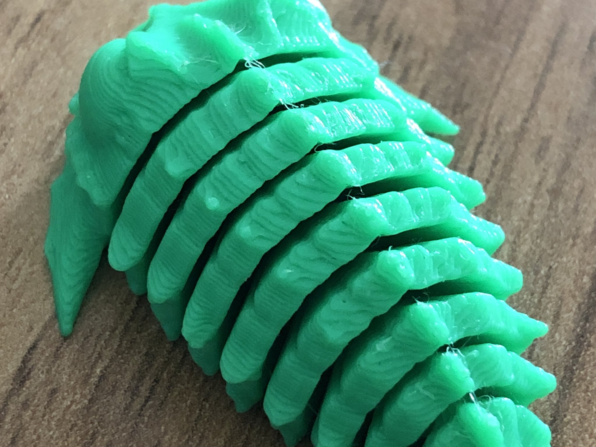 Mô hình hóa học về động vật hóa thạch Trilobite