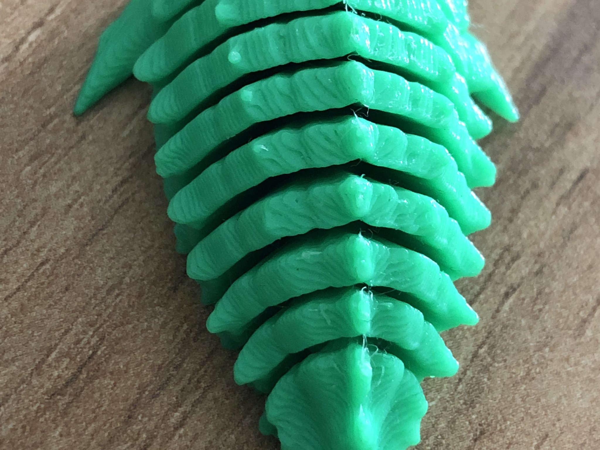 Mô hình hóa học về động vật hóa thạch Trilobite