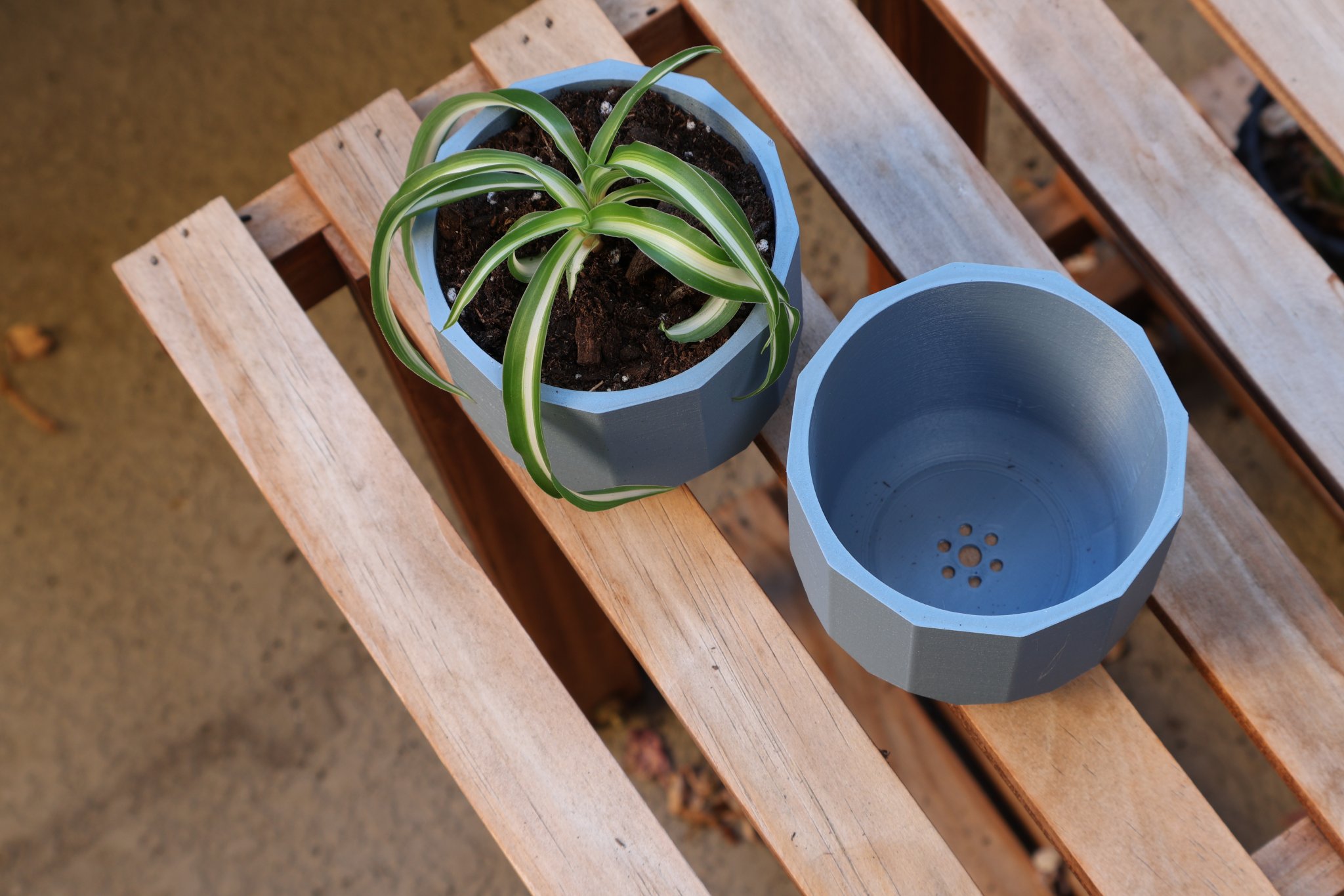 Chậu cây gốm Chic với lỗ thoát nước