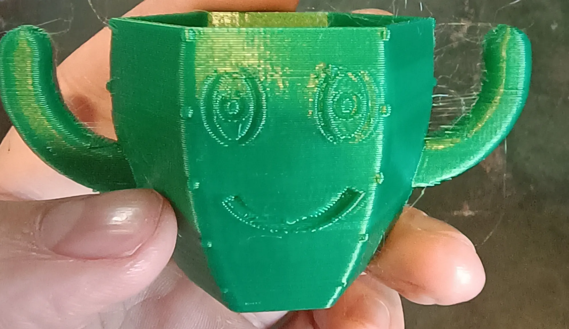 Chậu cây xương rồng cho cây succulents