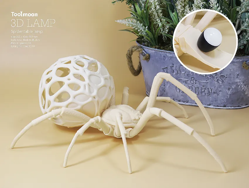 Đèn bàn và đèn tường hình nhện lớn