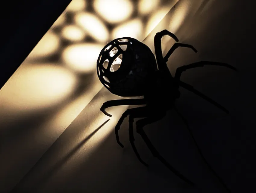 Đèn bàn và đèn tường hình nhện lớn