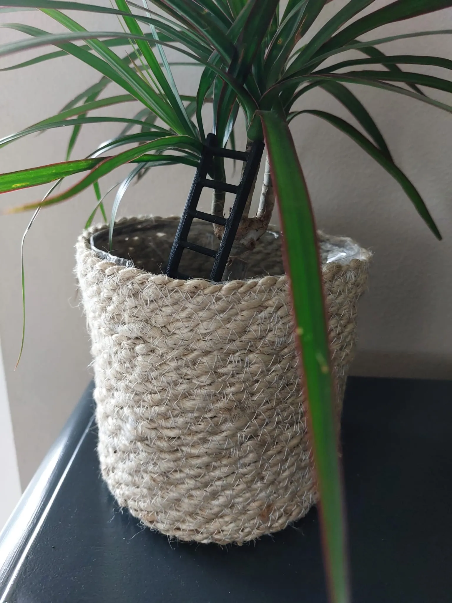 Giá đỡ cây cảnh kiểu thang trang trí cho ngôi nhà