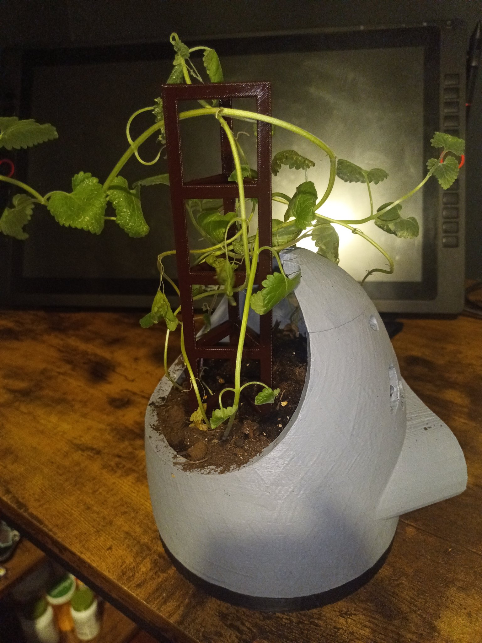 Giá đỡ cây trồng đơn giản cho chậu cây