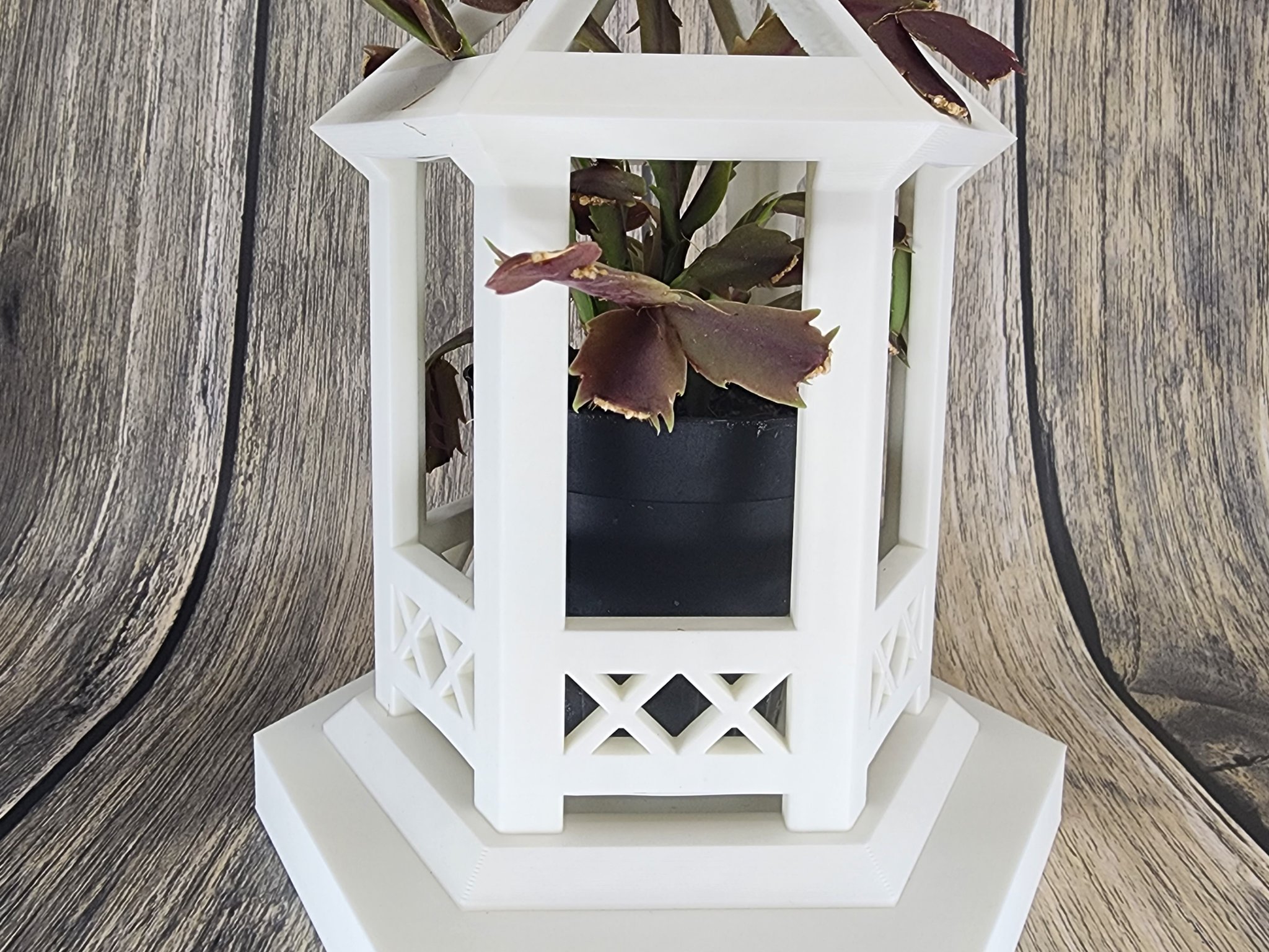 Giá đỡ cây cối Flora-Gazebo cho không gian sống thêm sinh động