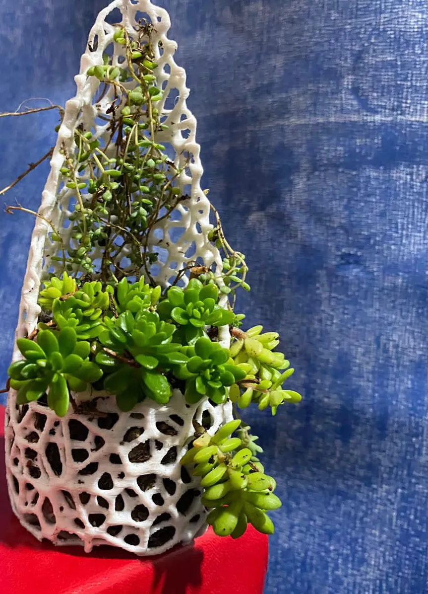 Chậu cây cho dây leo với thiết kế thông minh