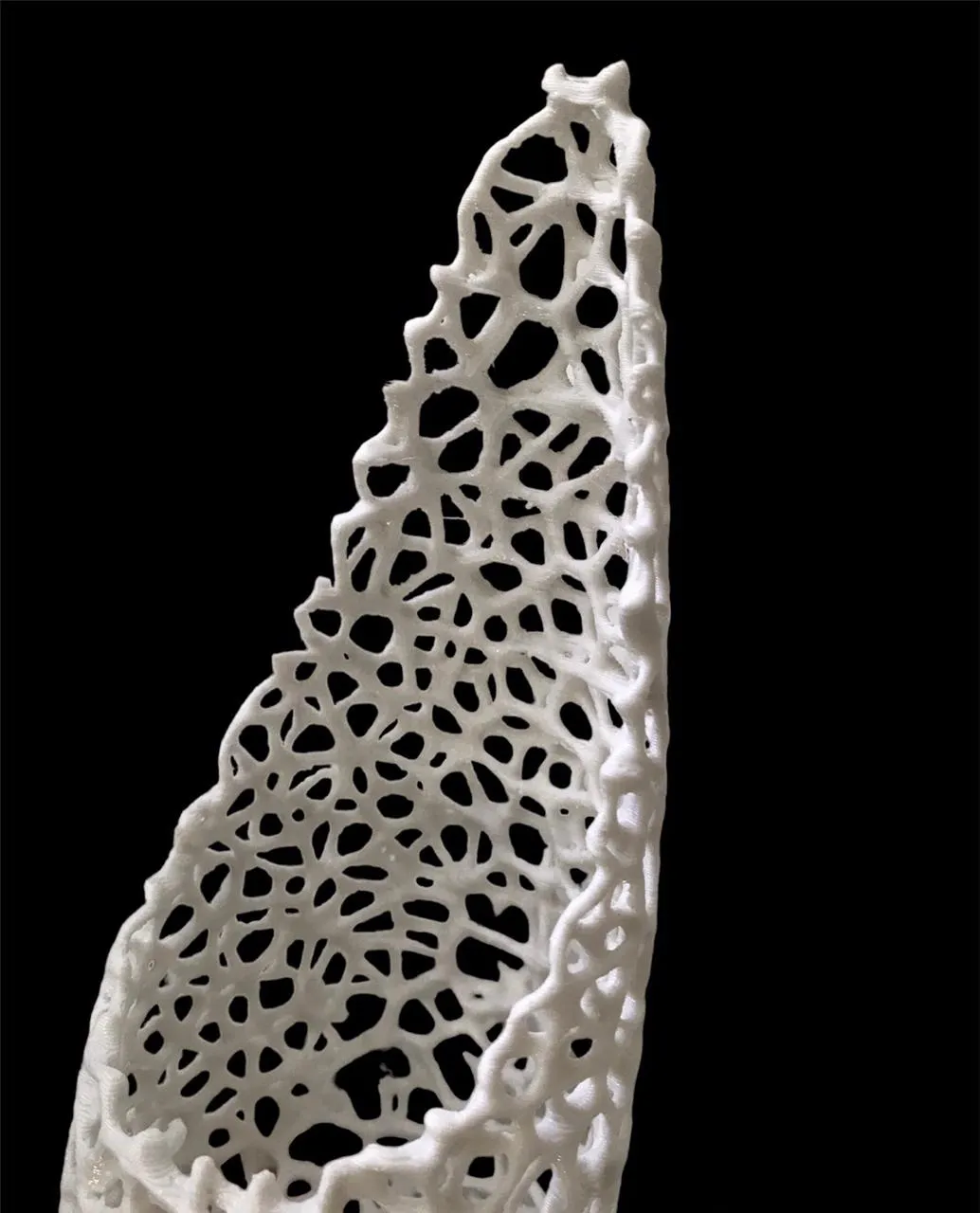 Chậu cây cho dây leo với thiết kế thông minh