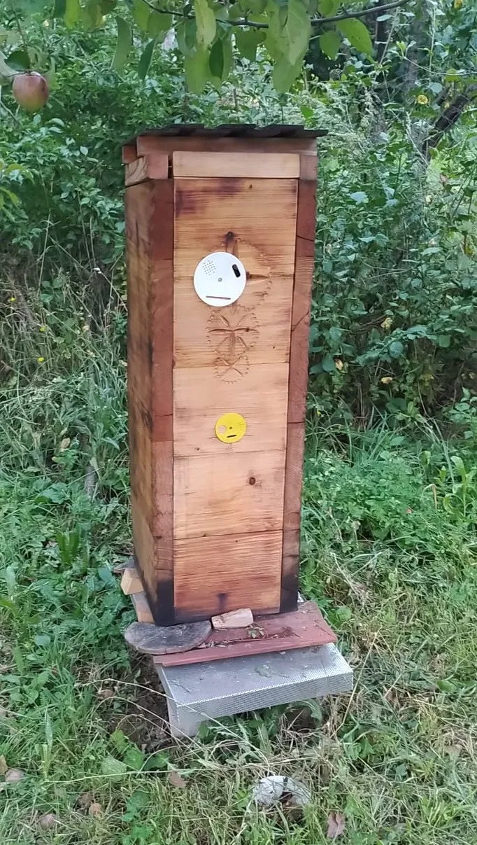 Cửa ra vào tổ ong hình tròn