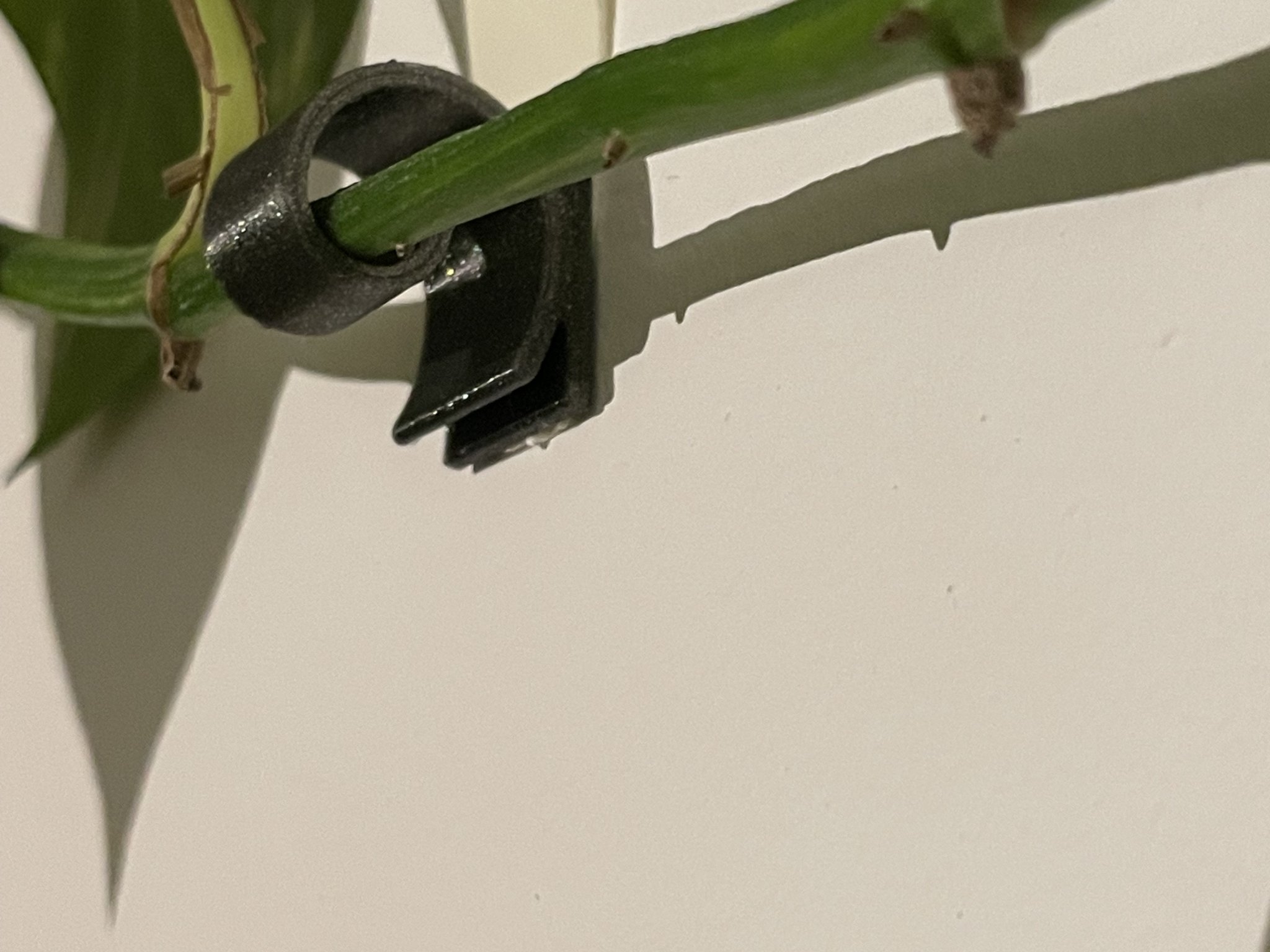 Giá đỡ dây leo nhỏ cho cây dây leo yêu thích