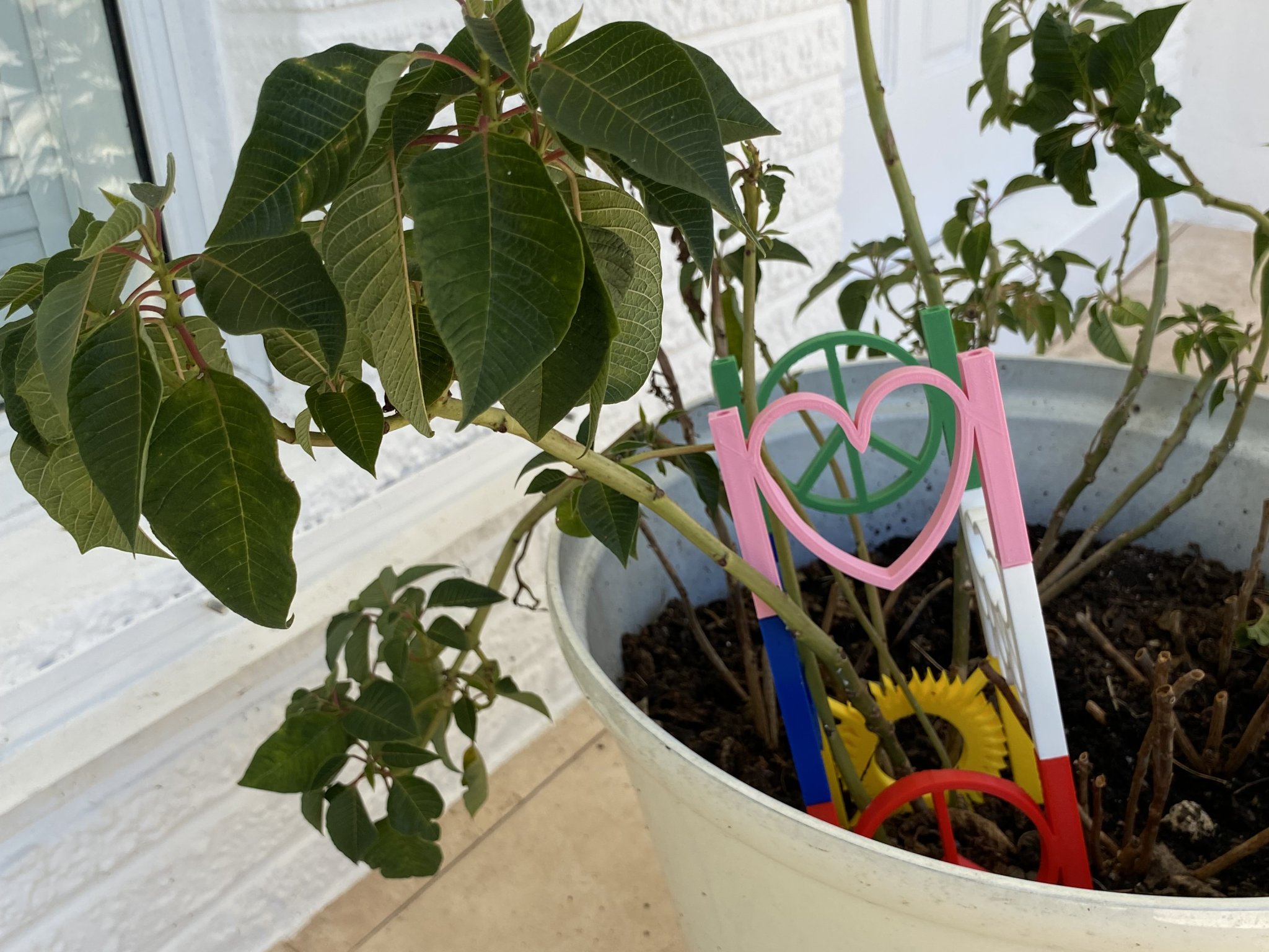 Giá đỡ trellis dễ thương cho cây trồng và ước mơ