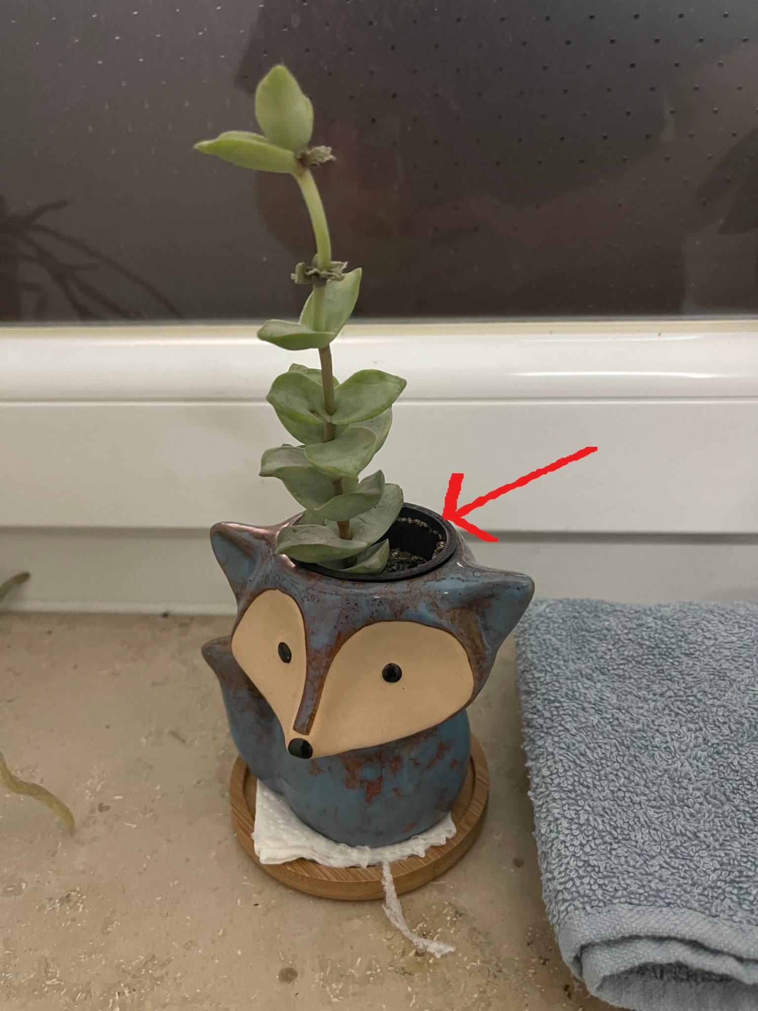 Chậu hoa mini in 3D từ CPE HG100