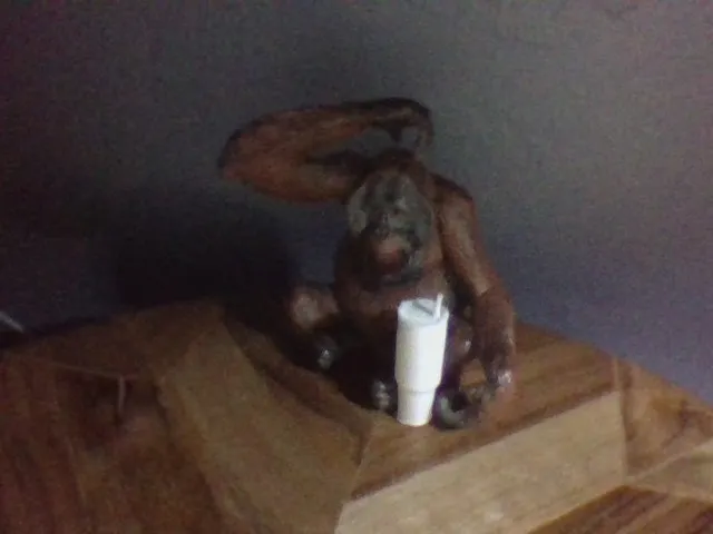 Ly Stanley cho búp bê trong ngôi nhà búp bê