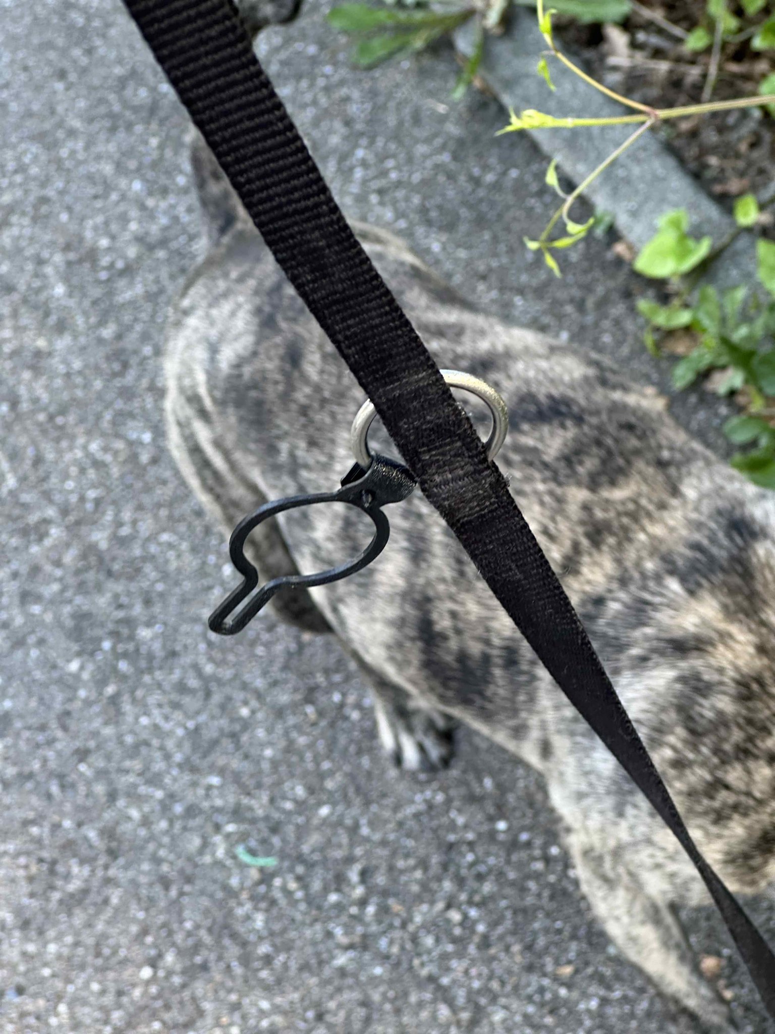 Giá đỡ túi phân chó không cần phụ kiện