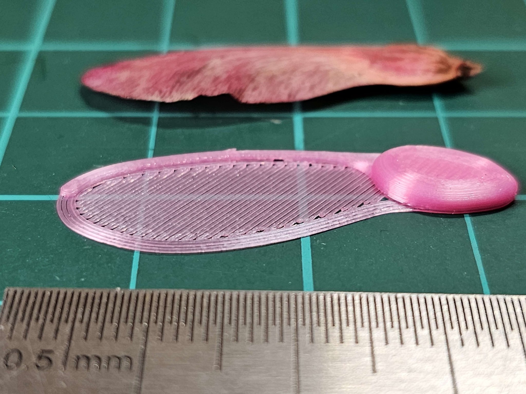 Quả giống cây phong - Máy bay trực thăng siêu nhẹ 1 gram