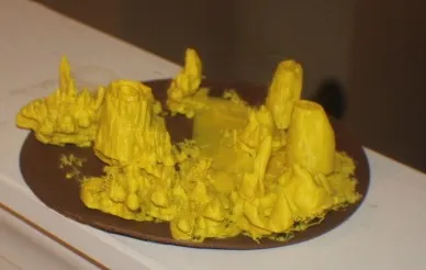 Bình biển khổng lồ trong cảnh quan san hô