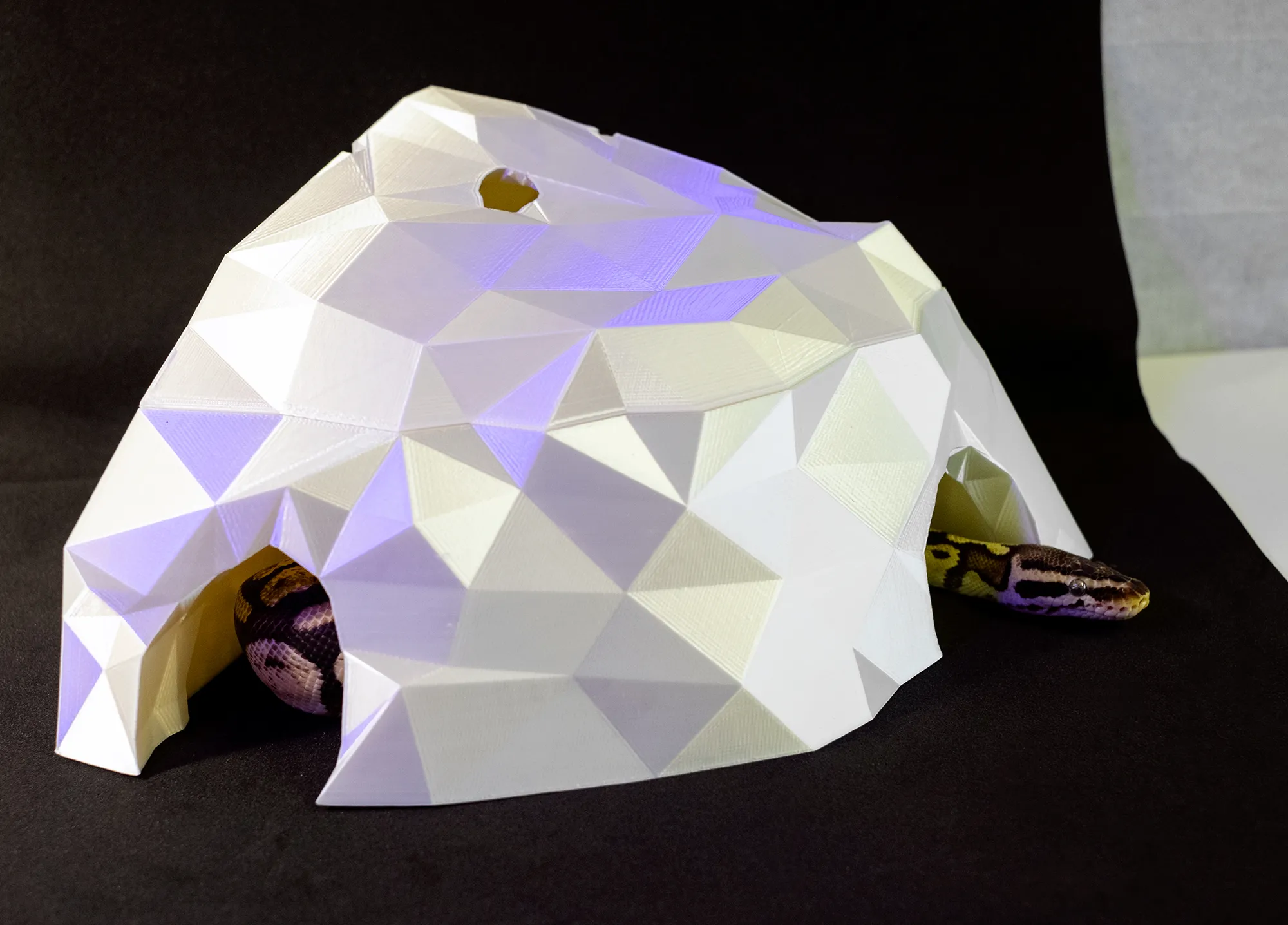 Hang Đá LowPoly cho Bò Sát trong Terrarium