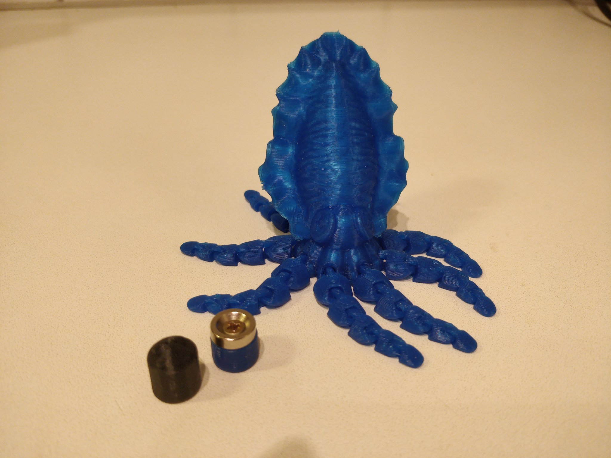 Phụ kiện mỏ và nam châm cho mô hình mực khớp nối