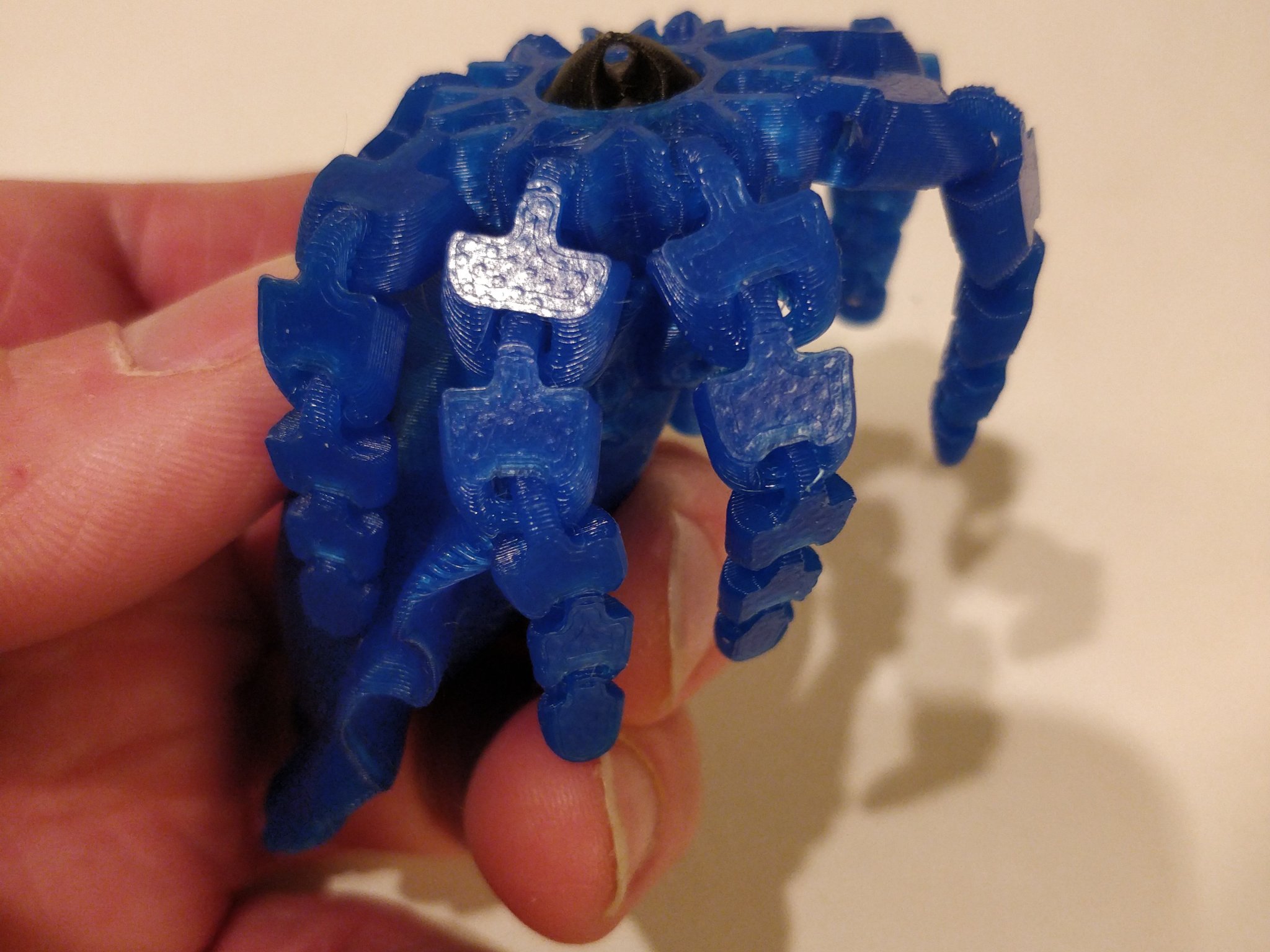 Phụ kiện mỏ và nam châm cho mô hình mực khớp nối