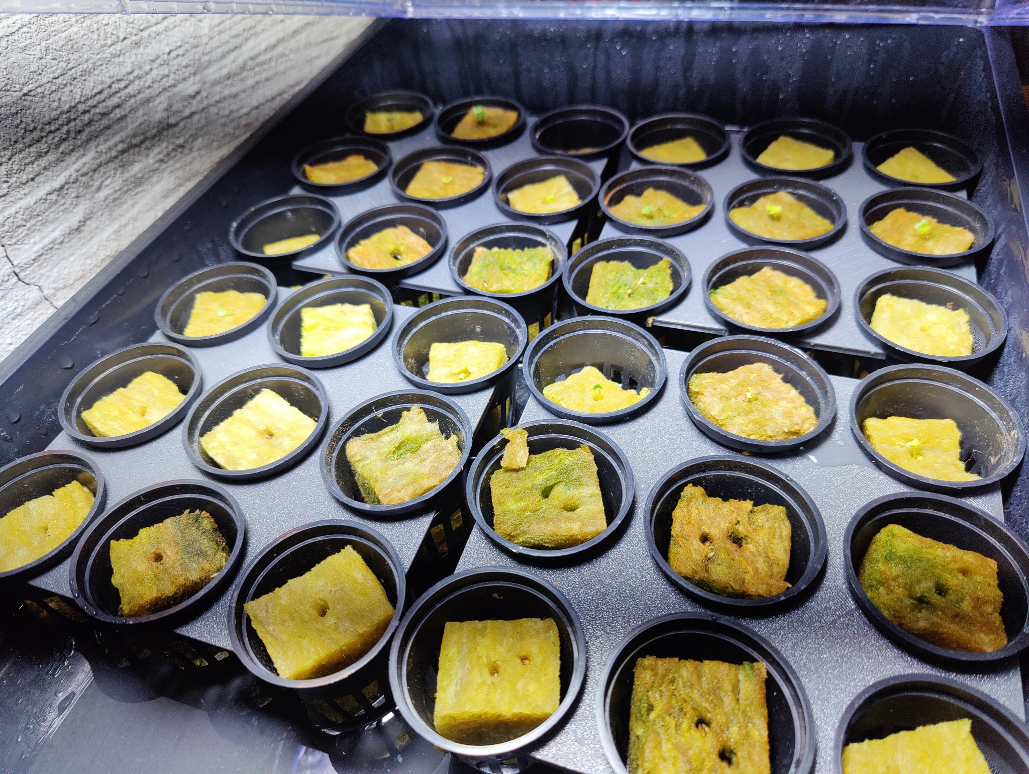 Giá đỡ giỏ 2,5" cho trồng cây thủy canh