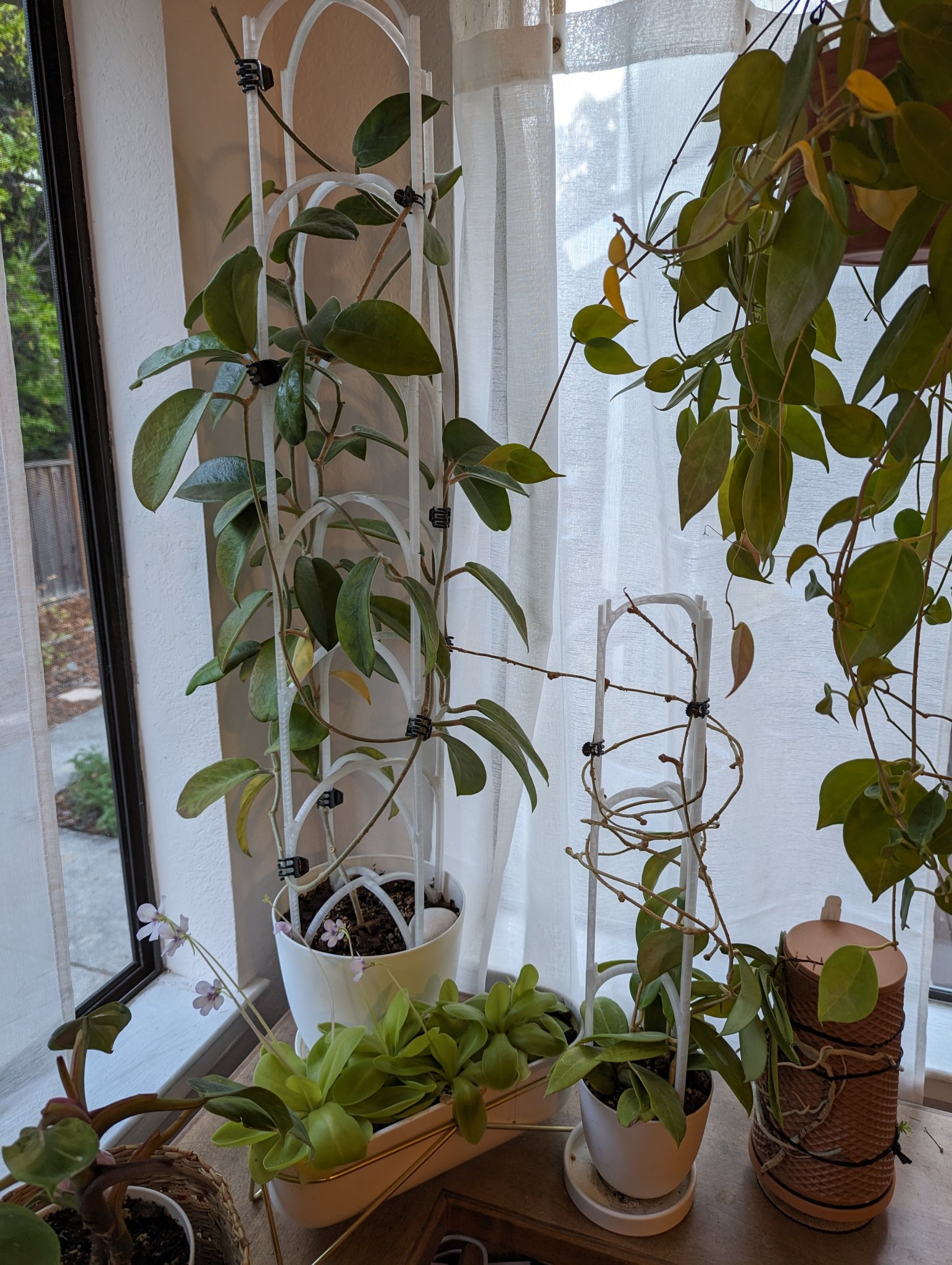 Giá đỡ cây có thể xếp chồng lên nhau cho vườn