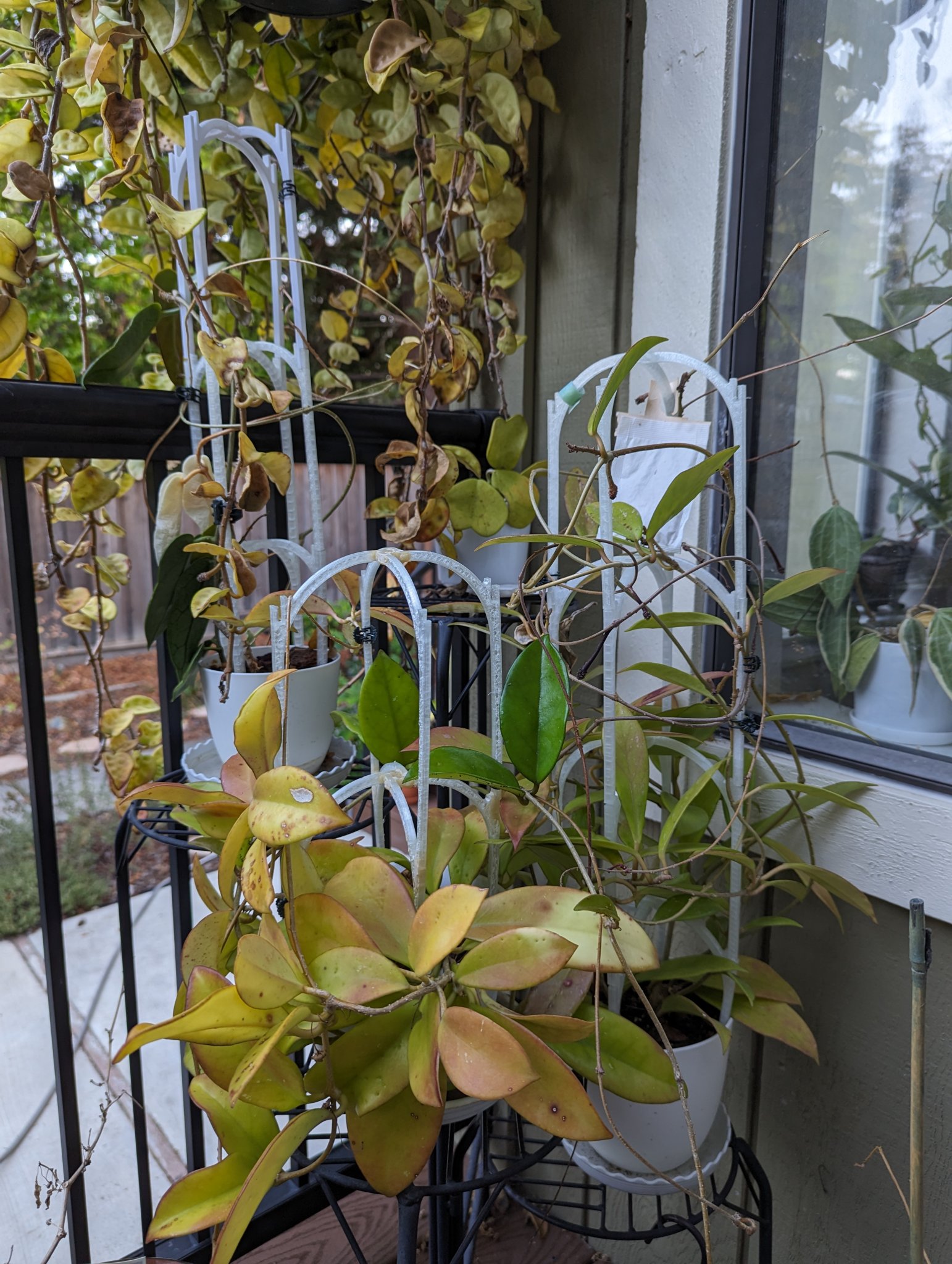 Giá đỡ cây có thể xếp chồng lên nhau cho vườn