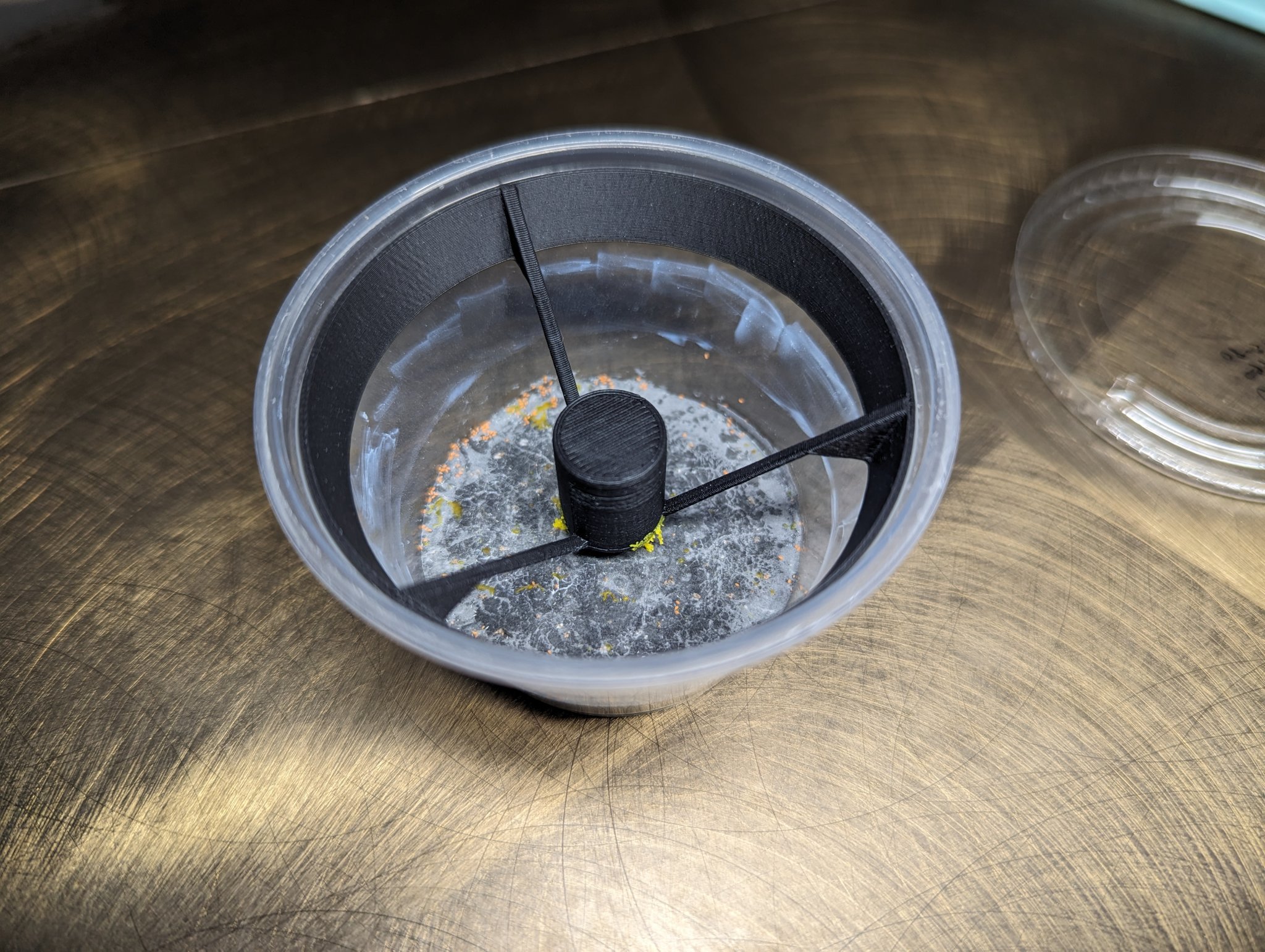 Capsule cho slime mold trong cốc deli 4oz