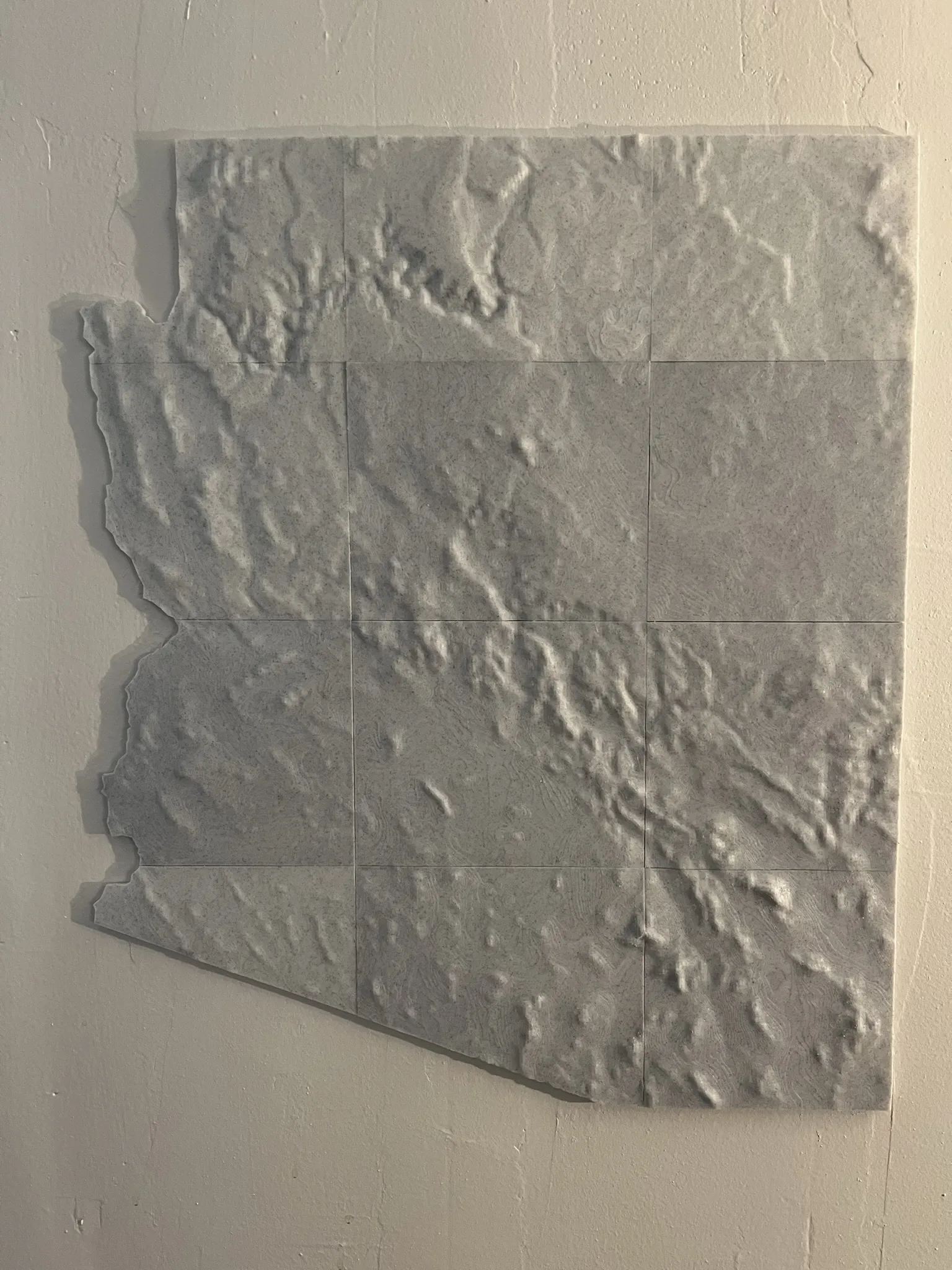 Bản đồ địa hình Arizona chi tiết cho trang trí nội thất